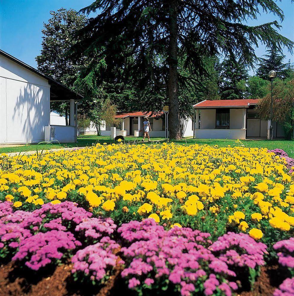 Villa Park Plava Laguna *